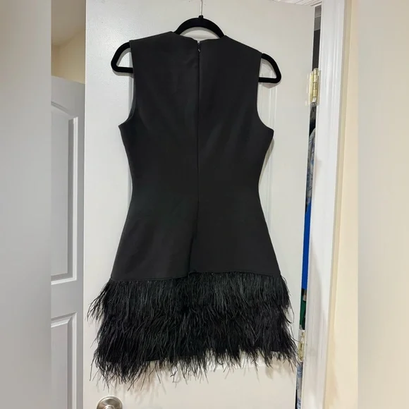 Elizabeth and James Black Mini Dress with Ostrich Feather Hem - Picture 6 of 6